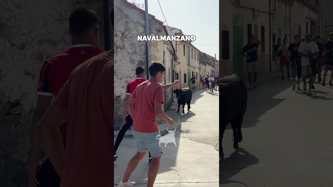 Encierro campero en Navalmanzano 2026 - NERVIOS Y EMPUJONES DELANTE DEL TORO