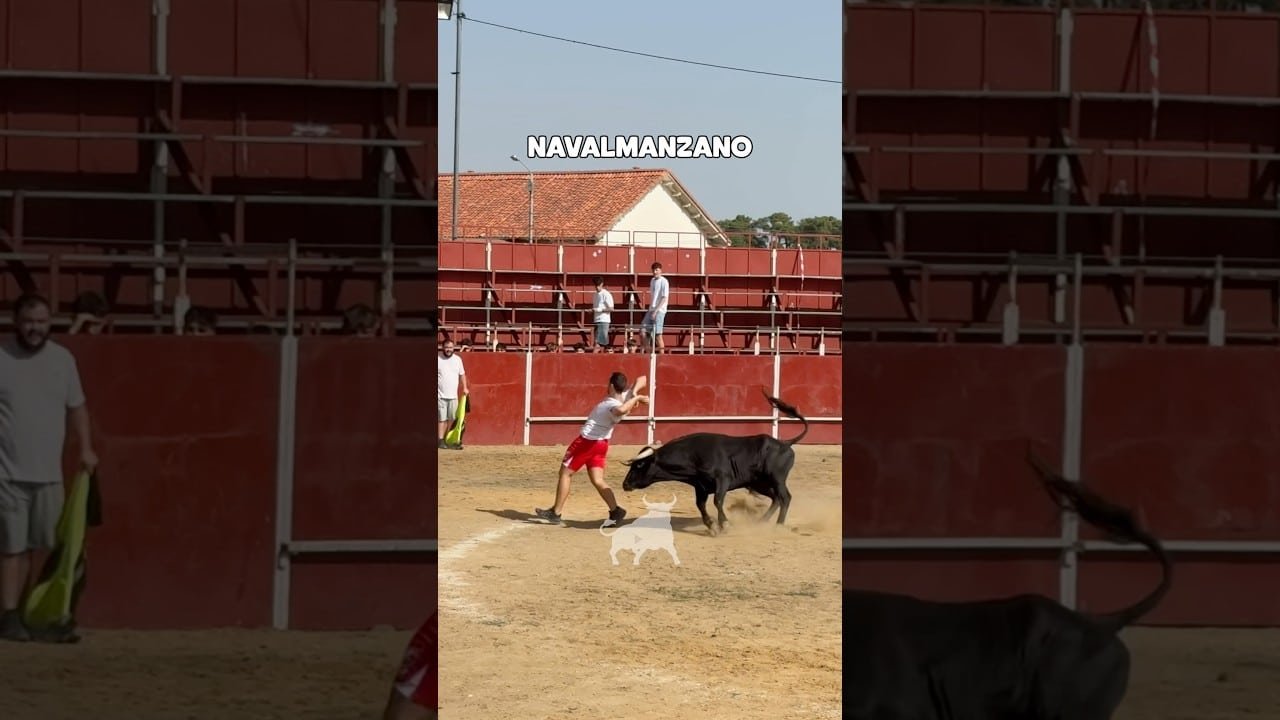 Capea en Navalmanzano 2026 - CAPEA CON VACAS NAVALMANZANO
