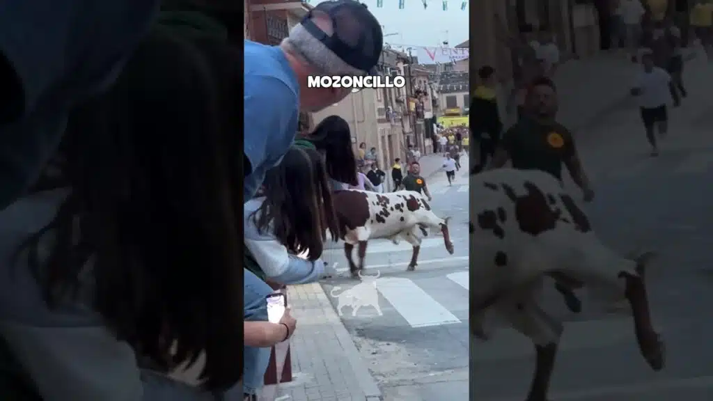 Cogida en Mozoncillo 2026 - GRAVE COGIDA MISMO TORO en Mozoncillo
