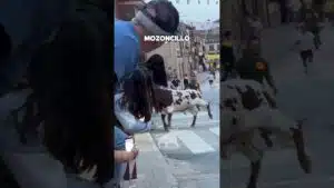 Cogida en Mozoncillo 2026 - GRAVE COGIDA MISMO TORO en Mozoncillo