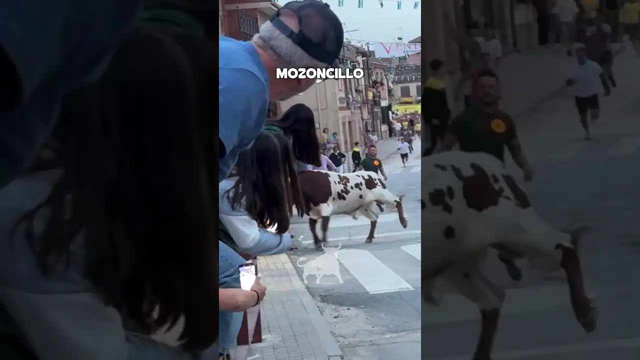Cogida en Mozoncillo 2026 - GRAVE COGIDA MISMO TORO en Mozoncillo
