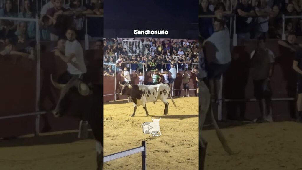 Encierros en Sanchonuno 2026 - UN MANSO BASTANTE BRAVO