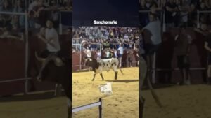 Encierros en Sanchonuno 2026 - UN MANSO BASTANTE BRAVO