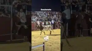 Encierros en Sanchonuno 2026 - UN MANSO BASTANTE BRAVO
