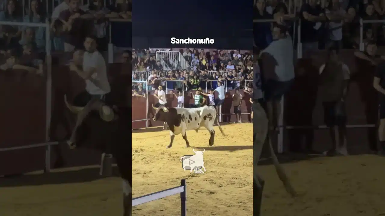 Encierros en Sanchonuno 2026 - UN MANSO BASTANTE BRAVO
