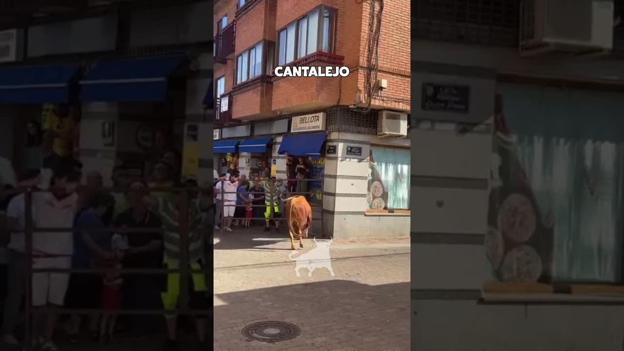 Encierro en Cantalejo 2026 - ATENCIÓN TORO se ESCAPA en Cantalejo