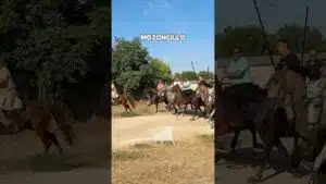 Encierro mixto en Mozoncillo 2026 - BONITA ENTRADA DE CABALLOS AL EMBUDO Mozoncillo