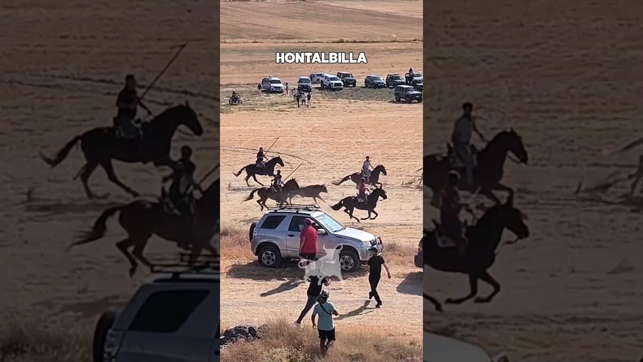 Encierro en Hontalbilla 2026 - SUELTA ENCIERRO HONTALBILLA