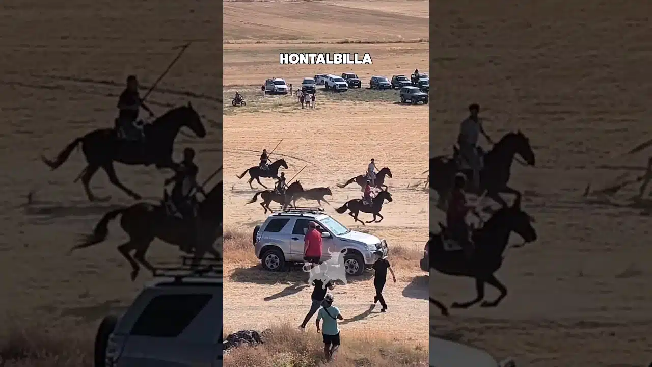 Encierro en Hontalbilla 2026 - SUELTA ENCIERRO HONTALBILLA