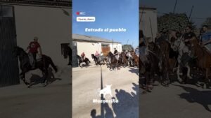 Encierro mixto en Mozoncillo 2026 - ENTRADA ESPECTACULAR AL PUEBLO