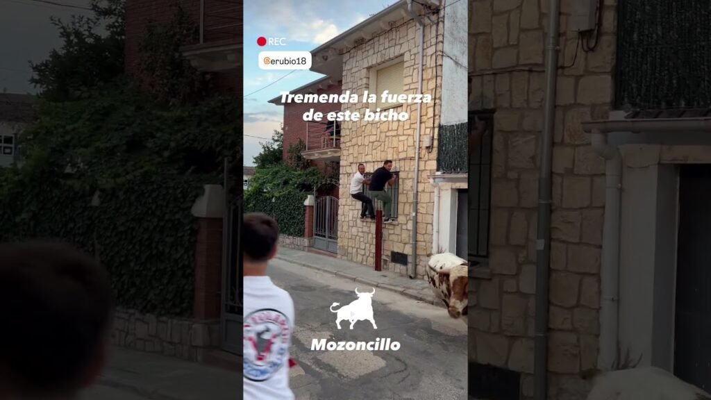 Encierro en Mozoncillo 2026 - INCREIBLE LA FUERZA DE ESTE TORO BERRENDO en Mozoncillo