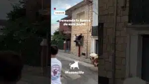 Encierro en Mozoncillo 2026 - INCREIBLE LA FUERZA DE ESTE TORO BERRENDO en Mozoncillo