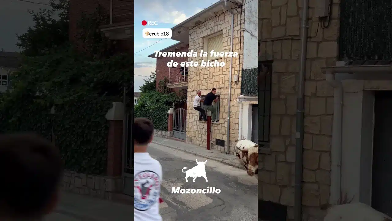 Encierro en Mozoncillo 2026 - INCREIBLE LA FUERZA DE ESTE TORO BERRENDO en Mozoncillo