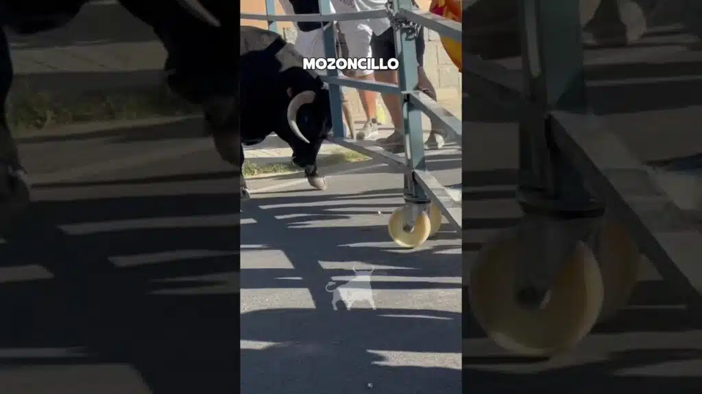 Encierro en Mozoncillo 2026 - TORO ARREMETE CON TANTA FUERZA QUE ESTÁ A PUNTO DE ESCAPAR