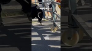 Encierro en Mozoncillo 2026 - TORO ARREMETE CON TANTA FUERZA QUE ESTÁ A PUNTO DE ESCAPAR
