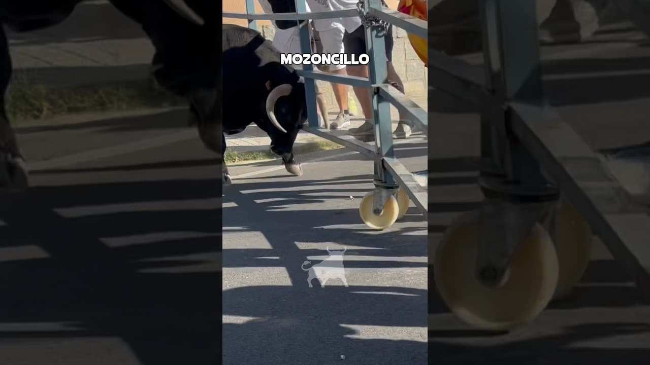 Encierro en Mozoncillo 2026 - TORO ARREMETE CON TANTA FUERZA QUE ESTÁ A PUNTO DE ESCAPAR