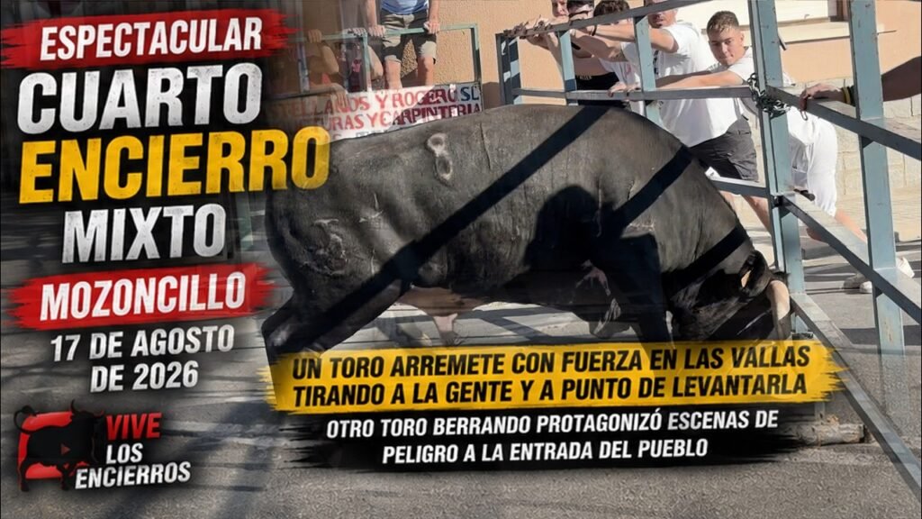 Encierros mixtos en Mozoncillo 2026 - ¡CASI LEVANTA LA VALLA! Tremendo susto en el encierro de Mozoncillo