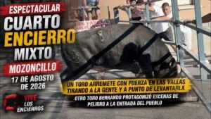 Encierros mixtos en Mozoncillo 2026 - ¡CASI LEVANTA LA VALLA! Tremendo susto en el encierro de Mozoncillo