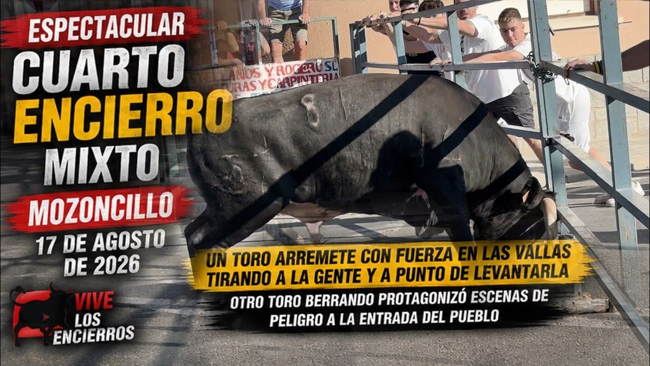Encierros mixtos en Mozoncillo 2026 - ¡CASI LEVANTA LA VALLA! Tremendo susto en el encierro de Mozoncillo