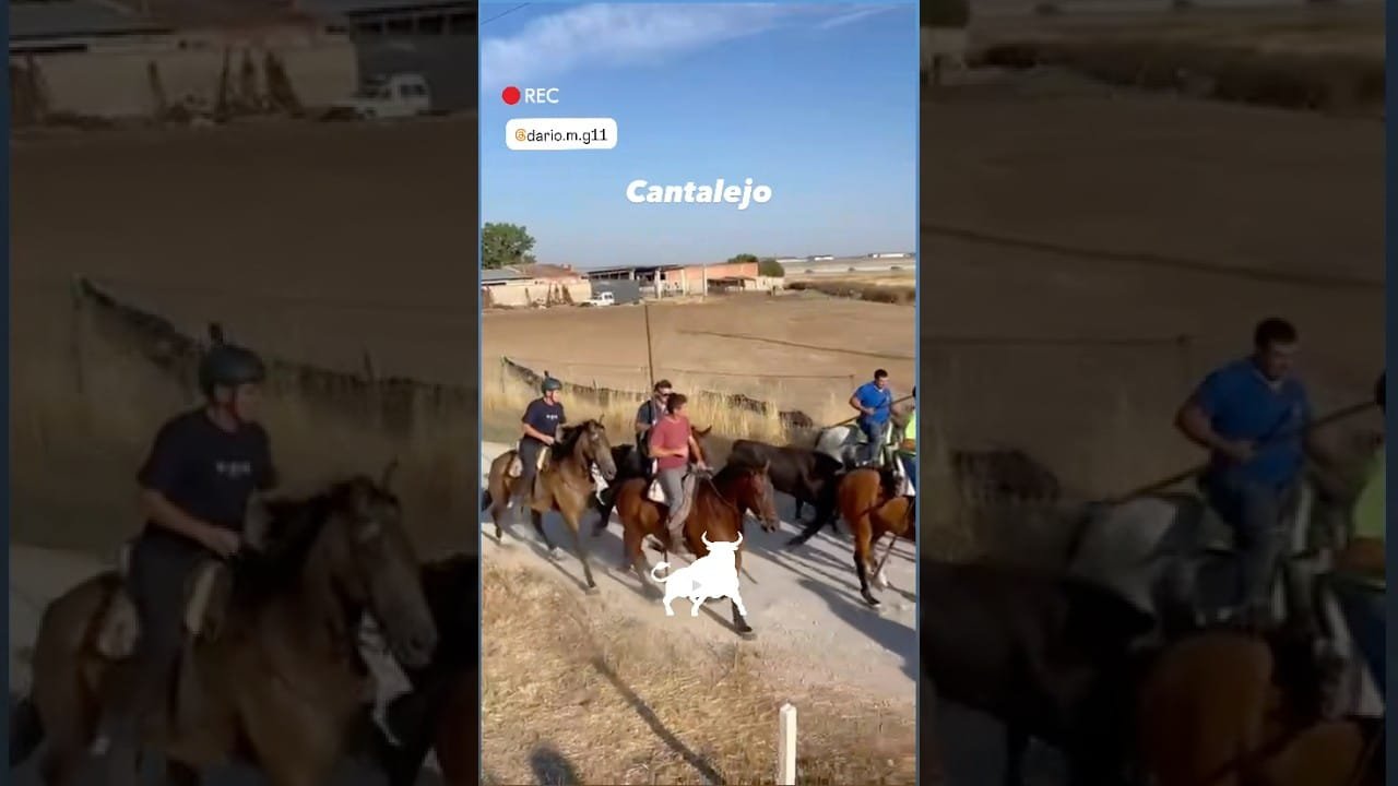 Encierro en Cantalejo 2026 - ENTRADA DE UN TORO EMBUDO CANTALEJO