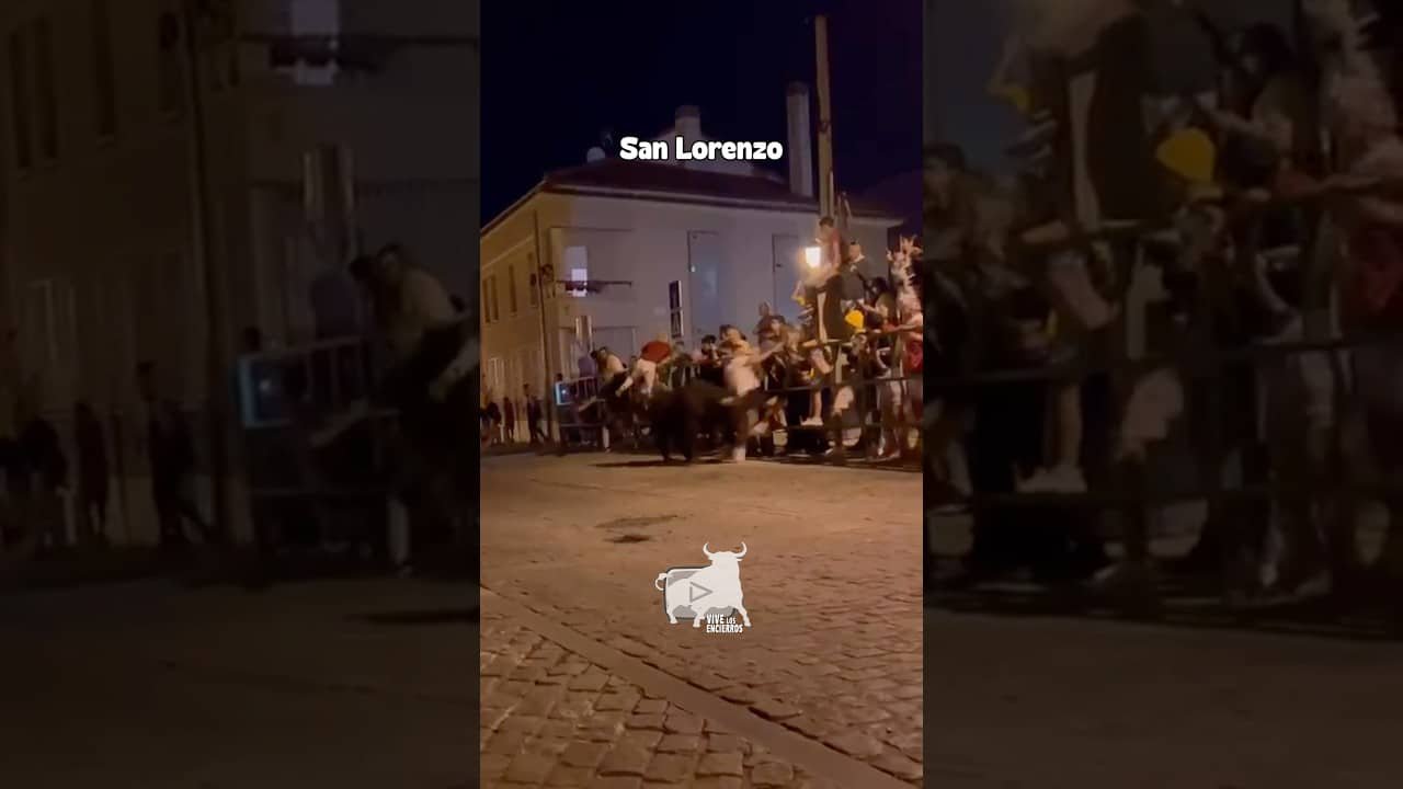 Encierros en San Lorenzo 2026 - TREMENDA COGIDA en San Lorenzo Segovia