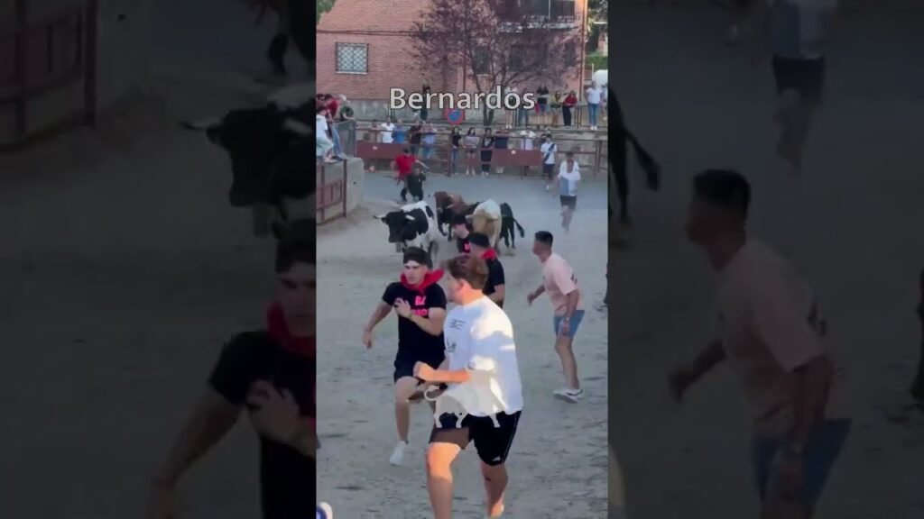 Encierro en Bernardos 2026 - ENCIERRO BERNARDOS