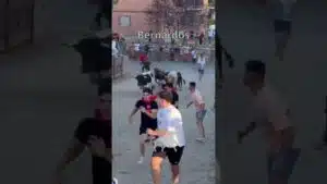 Encierro en Bernardos 2026 - ENCIERRO BERNARDOS