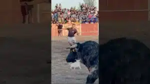 Capea en Bernardos 2026 - CAPEA BERNARDOS