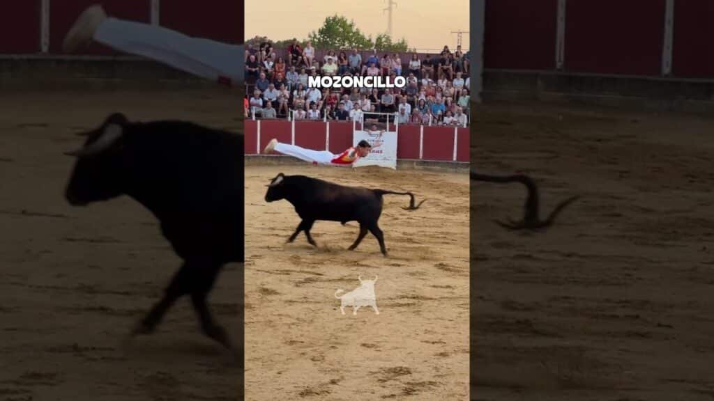 Concurso de recortadores en Mozoncillo 2026 - CONCURSO DE RECORTES MOZONCILLO GRUPO 1
