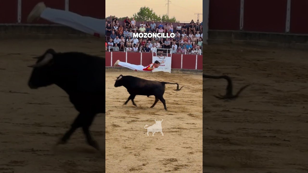 Concurso de recortadores en Mozoncillo 2026 - CONCURSO DE RECORTES MOZONCILLO GRUPO 1