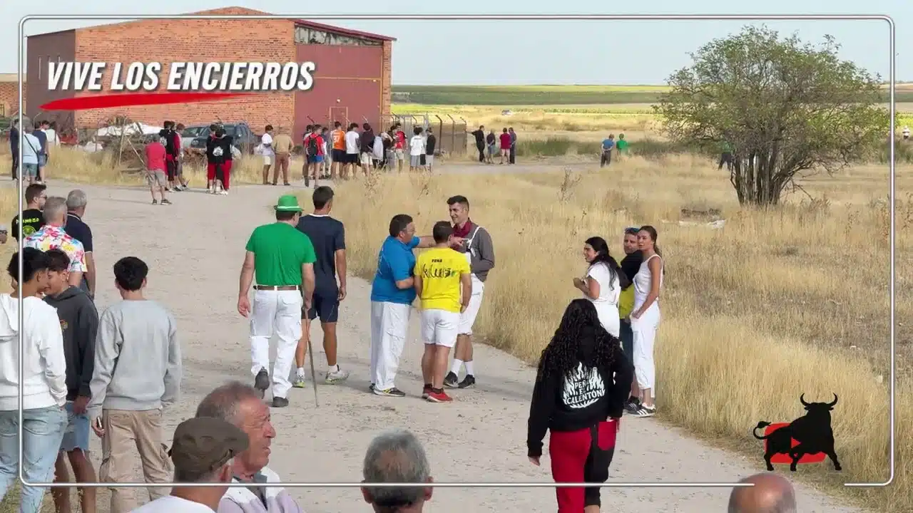 Encierro en Fuentepelayo 2026 - Encierro campero Fuentepelayo