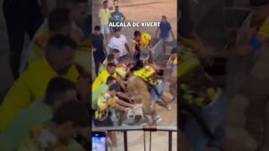 Toro embolado en Alcalá de Xivert 2026 - TORO EMBOLADO ALCALÁ DE XIVERT
