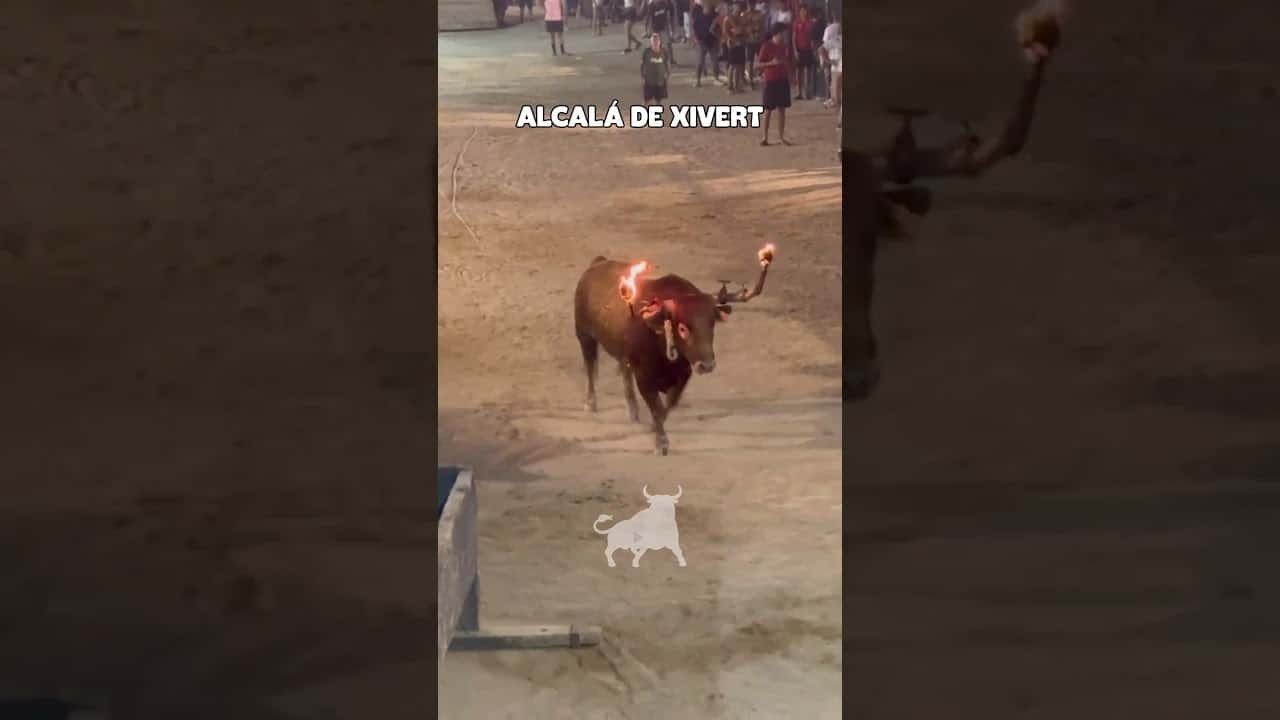 Toro embolado en Alcalá de Xivert 2026 - Toro embolado parte 3