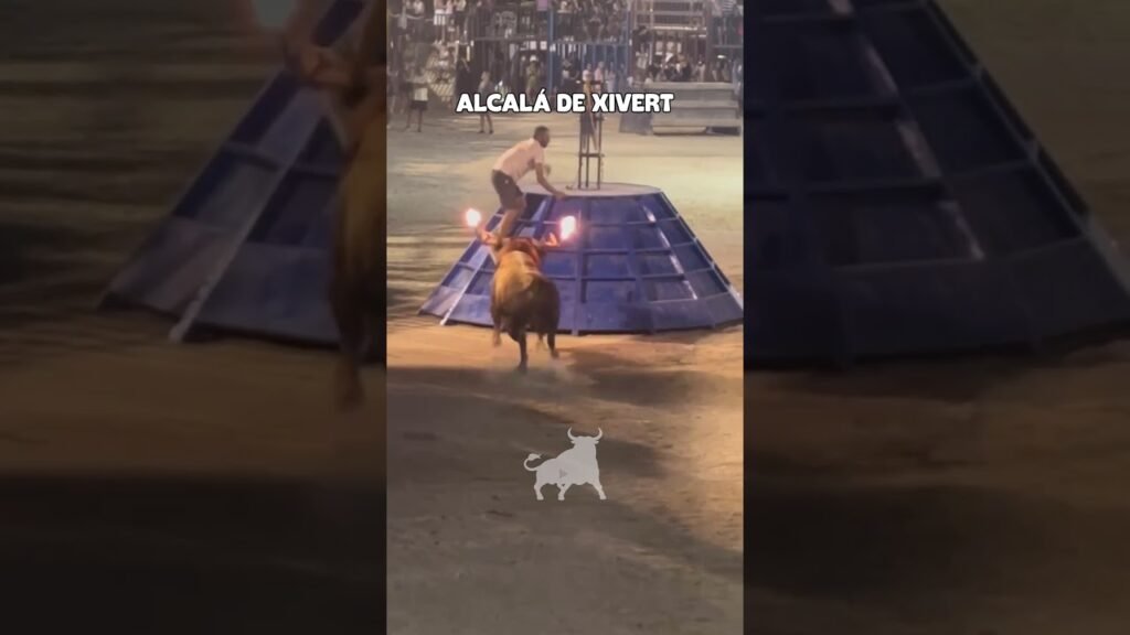Toro embolado en Alcalá de Xivert 2026 - IMPRESIONANTE TORO EMBOLADO