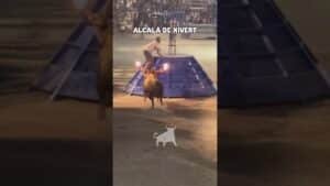 Toro embolado en Alcalá de Xivert 2026 - IMPRESIONANTE TORO EMBOLADO