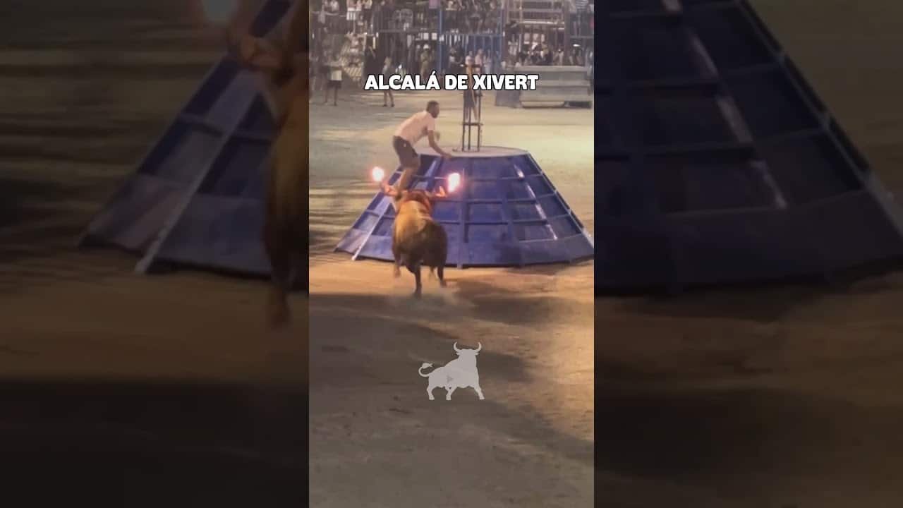 Toro embolado en Alcalá de Xivert 2026 - IMPRESIONANTE TORO EMBOLADO