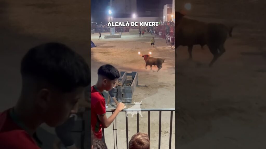 Toro embolado en Alcalá de Xivert 2026 - CARRERAS DEL TORO EMBOLADO
