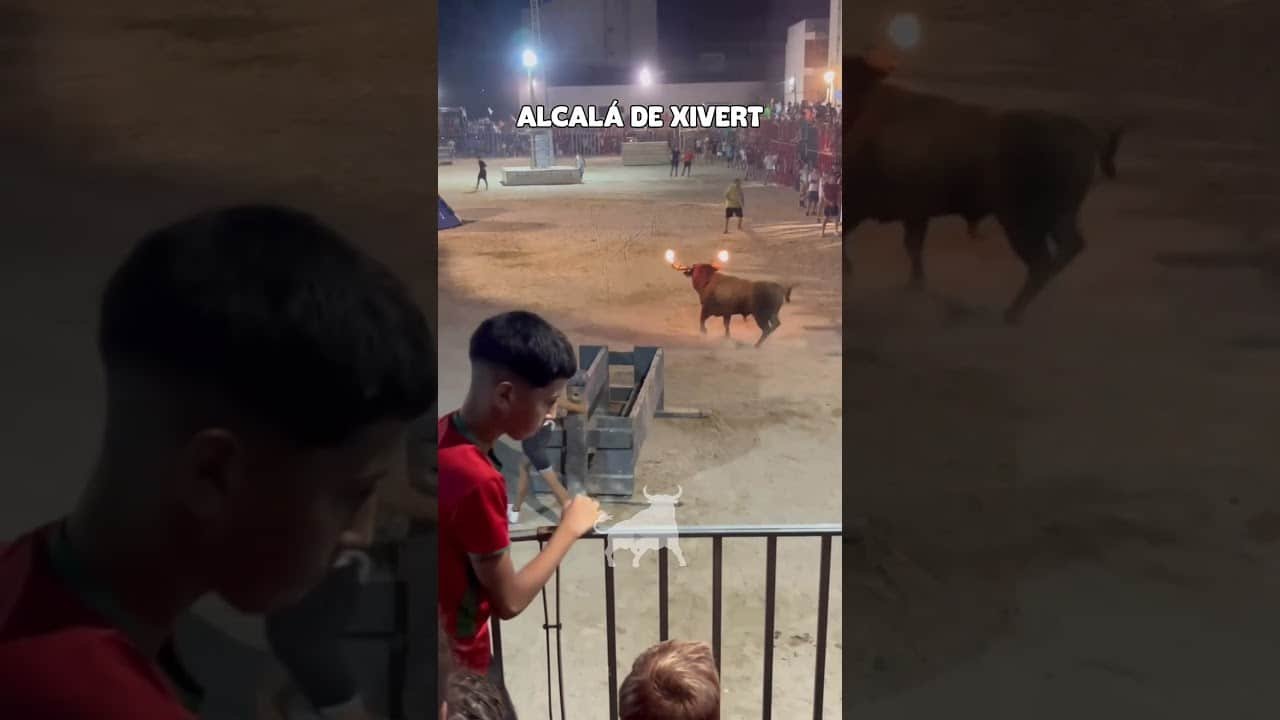 Toro embolado en Alcalá de Xivert 2026 - CARRERAS DEL TORO EMBOLADO