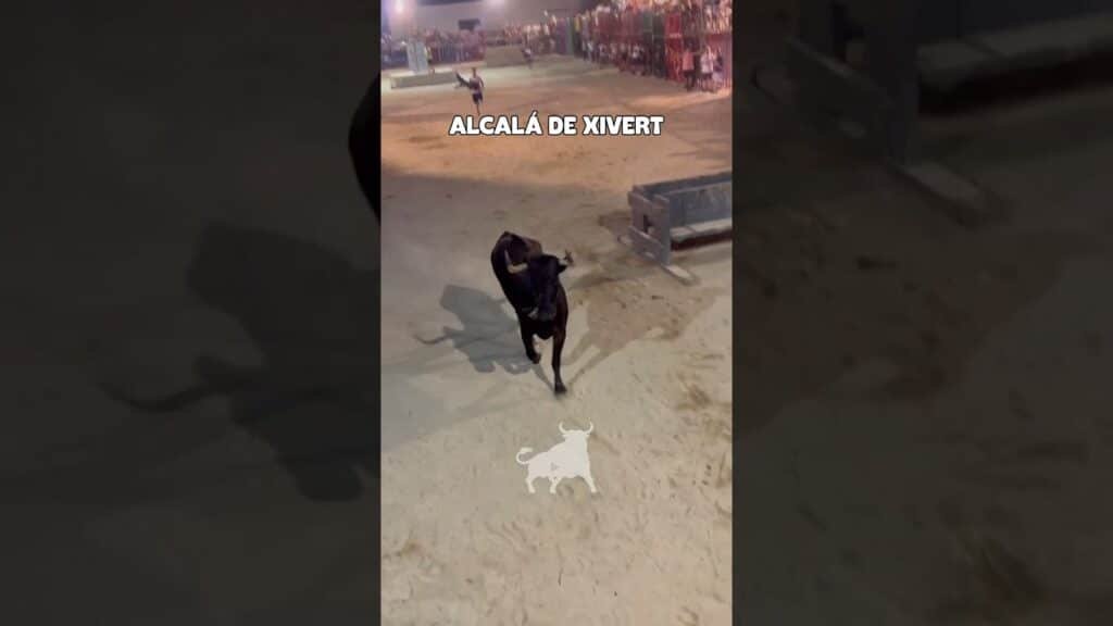 Recortes en Alcalá de Xivert 2026 - Vacas en Alcalá de Xivert