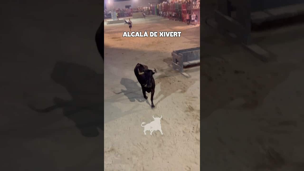 Recortes en Alcalá de Xivert 2026 - Vacas en Alcalá de Xivert