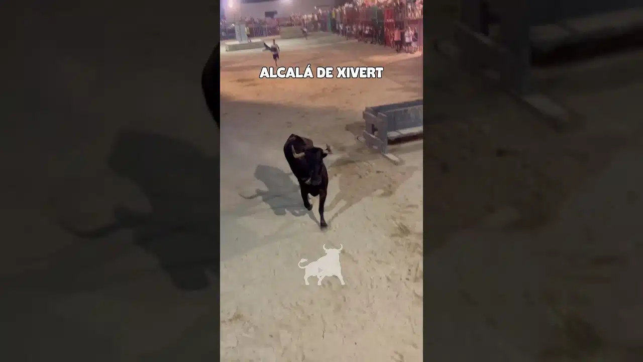 Recortes en Alcalá de Xivert 2026 - Vacas en Alcalá de Xivert