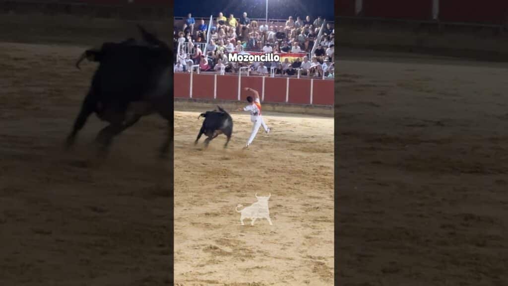 Recortes en Mozoncillo 2026 - Final concurso de Recortadores Mozoncillo 2026