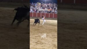 Recortes en Mozoncillo 2026 - Final concurso de Recortadores Mozoncillo 2026