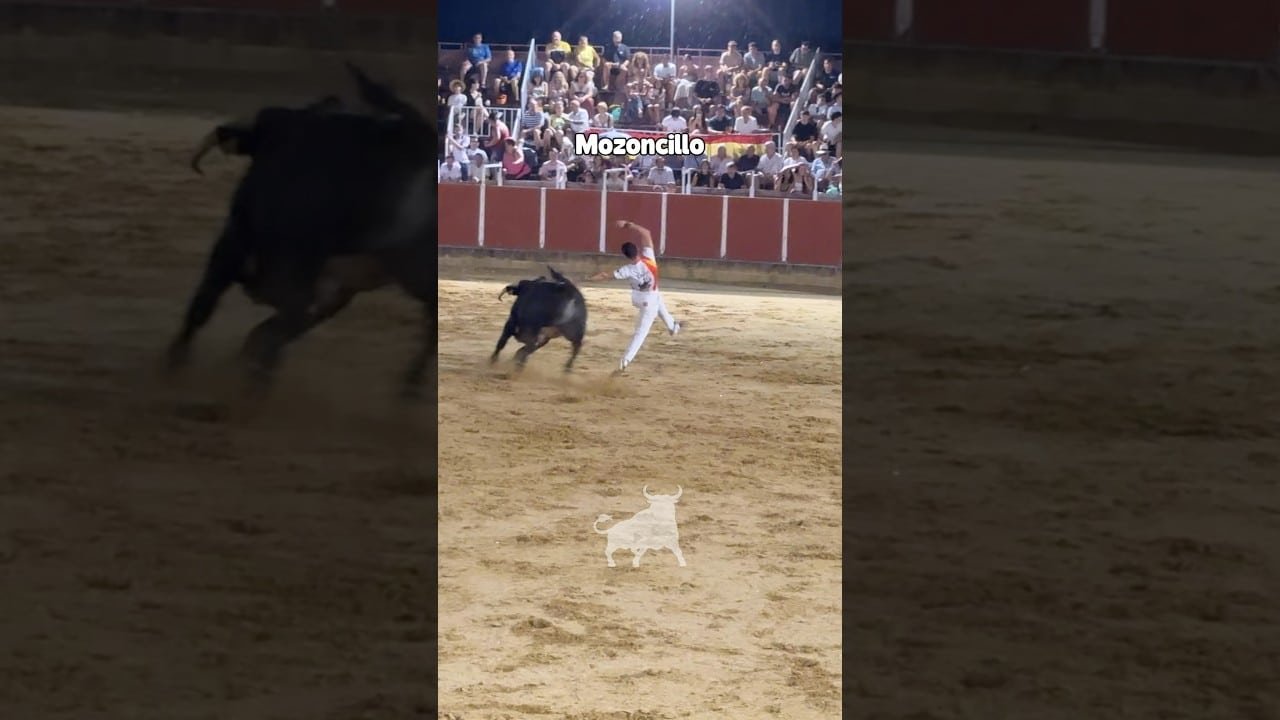 Recortes en Mozoncillo 2026 - Final concurso de Recortadores Mozoncillo 2026