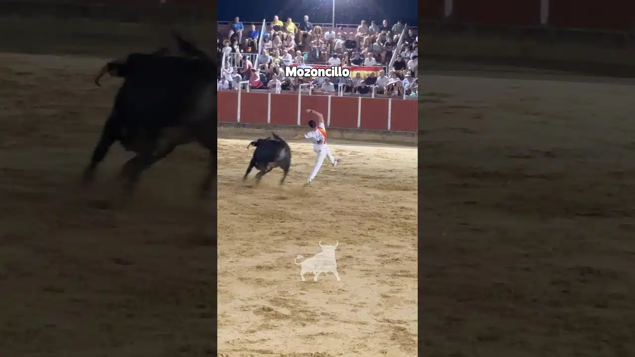 Recortes en Mozoncillo 2026 - Final concurso de Recortadores Mozoncillo 2026