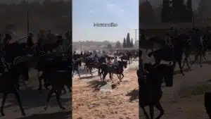 Encierro en Mozoncillo 2026 - RECONDUCEN A LOS DOS TOROS