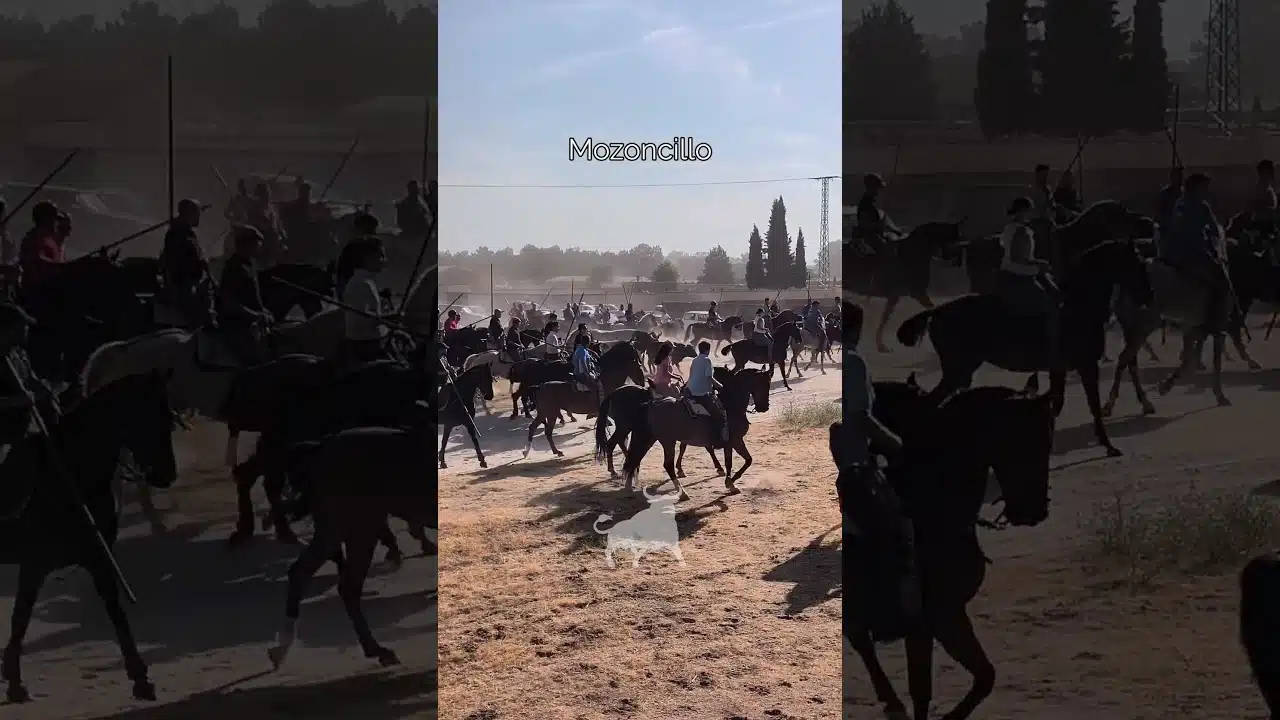 Encierro en Mozoncillo 2026 - RECONDUCEN A LOS DOS TOROS