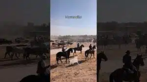 Encierro en Mozoncillo 2026 - CONDUCIENDO A LOS TOROS MUY TRANQUILOS