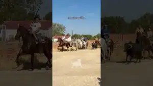 Encierro en Mozoncillo 2026 - BONITA ENTRADA DE CABALLOS Y TOROS MOZONCILLO