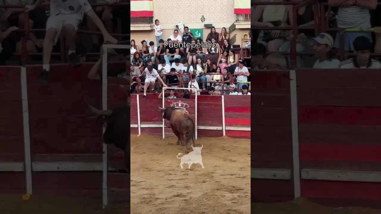 Encierro en Fuentepelayo 2026 - BRAVURA EN ESTADO PURO